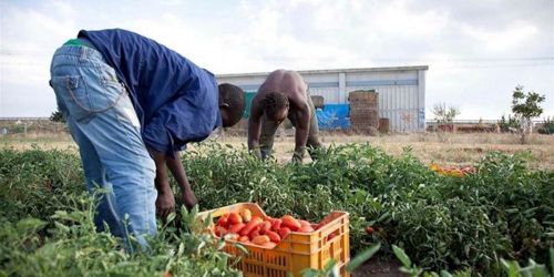 sindacati agricoltura regione caporalato