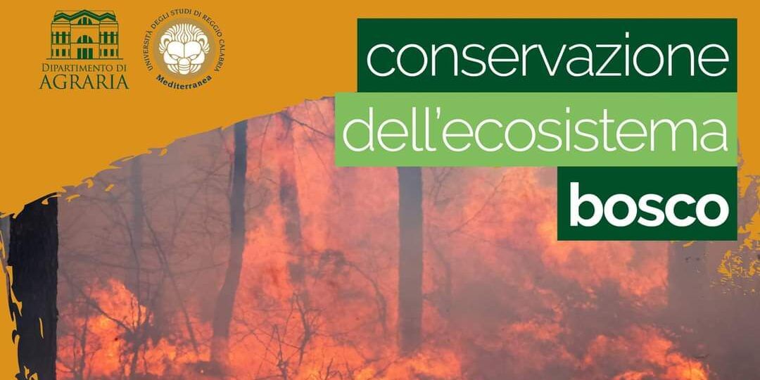 L’appello degli studenti di Scienze forestali: «Porre attenzione alla pianificazione»