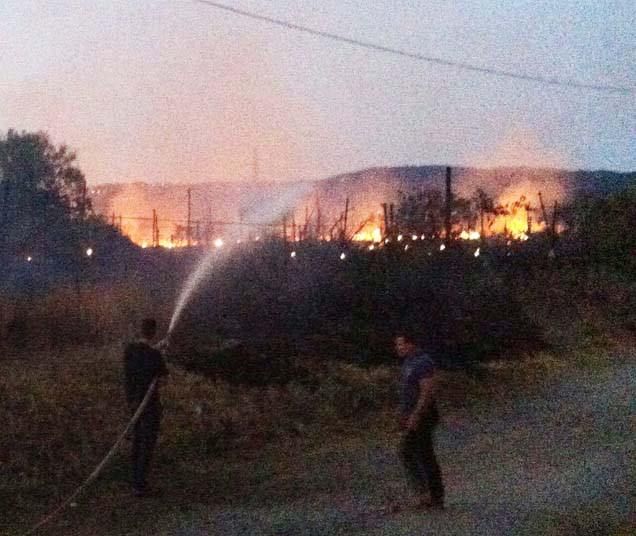 Reggio: incendio battezza il DVNO, ma il festival non si ferma