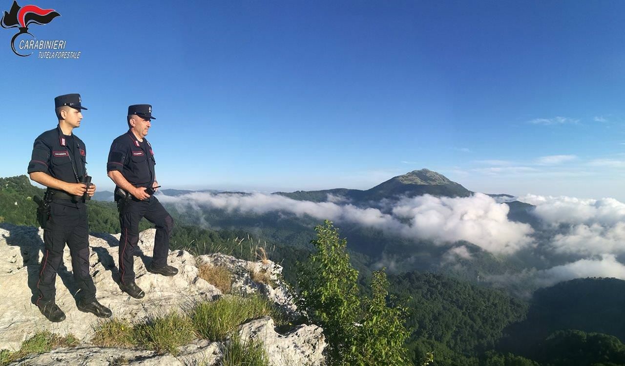 Incendio del monte Paleparto a Longobucco nel 2017, cinque persone indagate