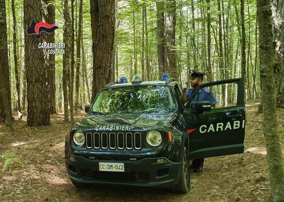 Centrale della droga in casa a Camigliatello, in manette due 39enni