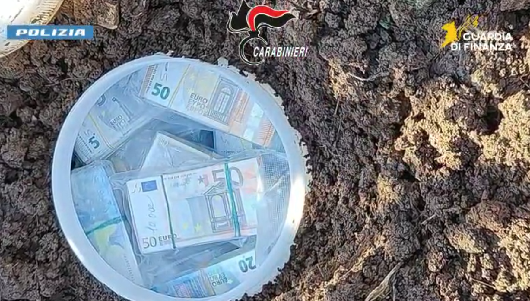 La cocaina al porto di Gioia Tauro, riciclaggio ed estorsioni: 54 arresti a Reggio Calabria – VIDEO