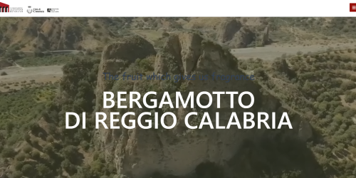 rendano Bergamotto