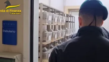 Illeciti negli stabulari dell’Umg: 3 condanne, un patteggiamento e 7 assoluzioni – NOMI