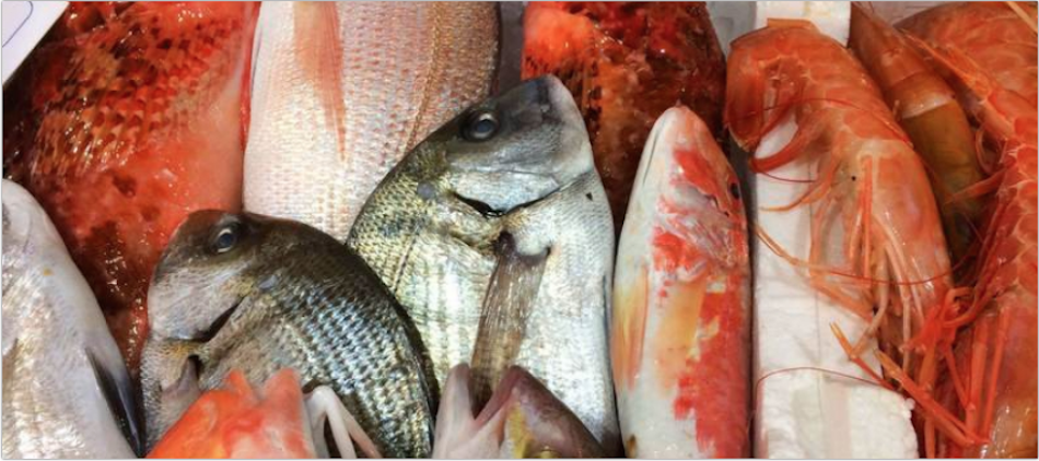 Controlli sulla tracciabilità, sequestrati oltre 150 chili di pesce in un ristorante del Catanzarese