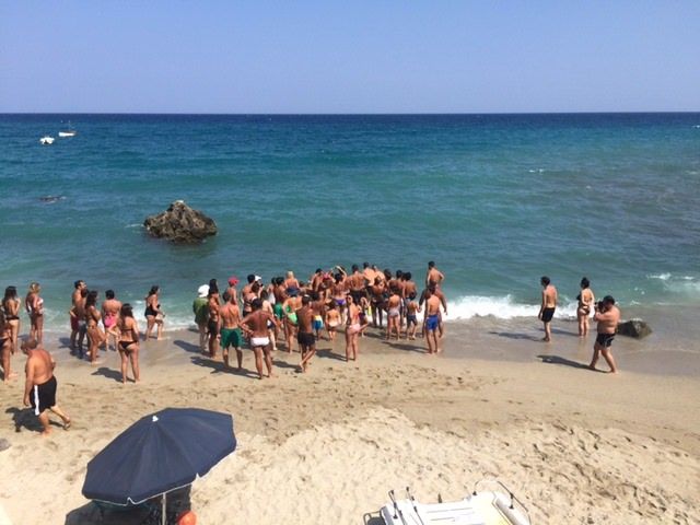 Caminia, bagnanti soccorrono un delfino spiaggiato