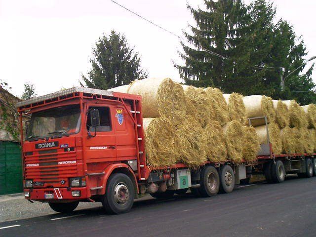 Incendio distrugge 140 balle di fieno