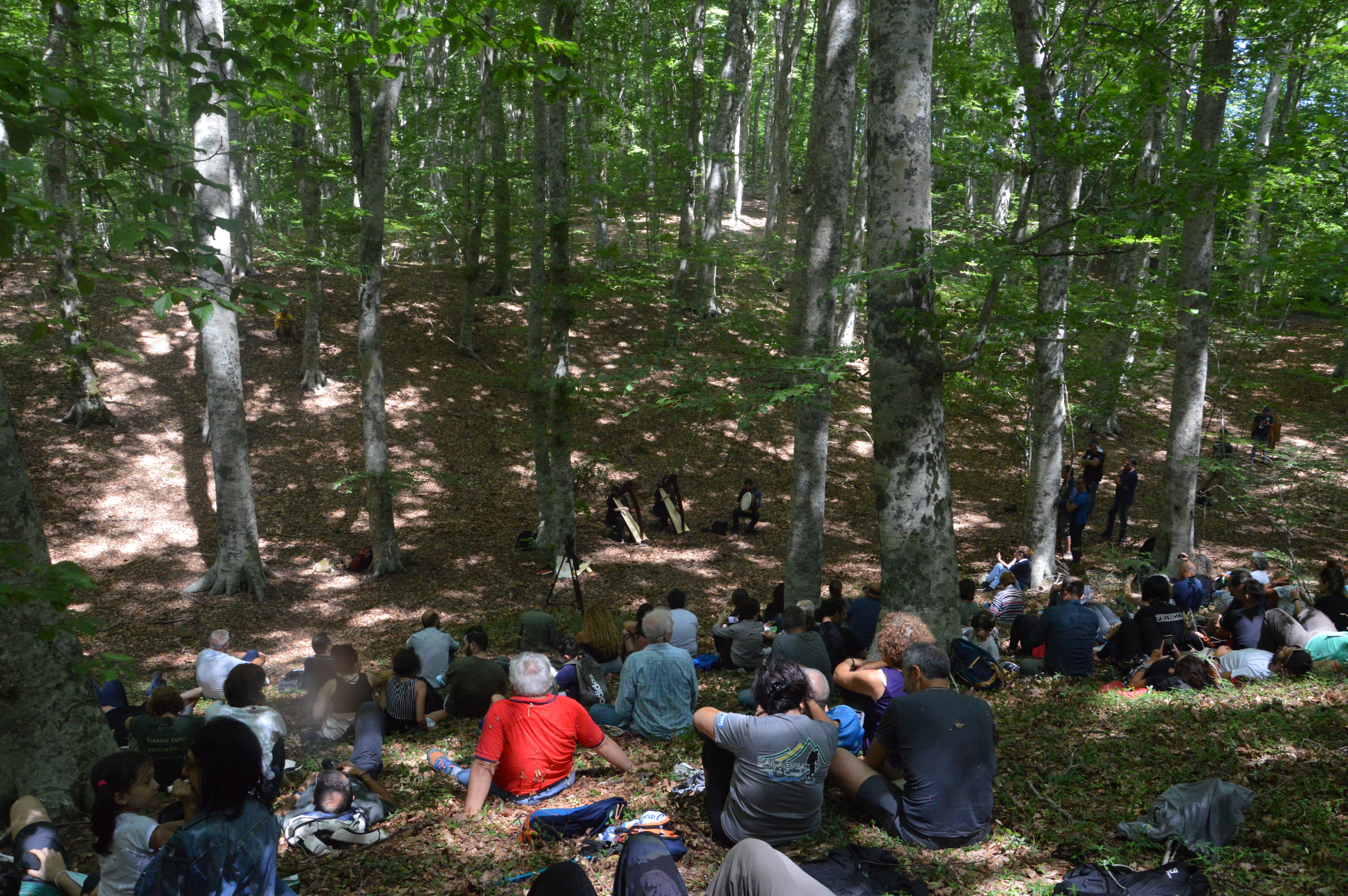 L’omaggio alla foresta al festival delle erranze