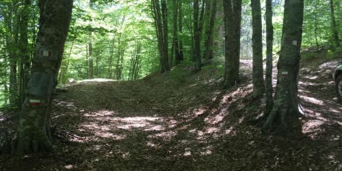 Ente parco Aspromonte
