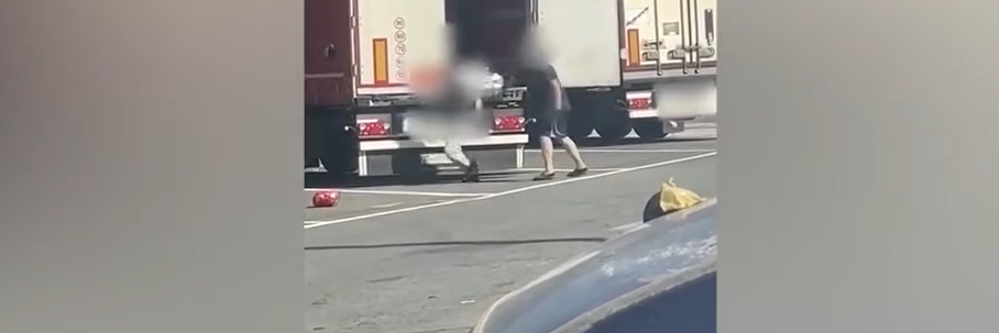 Sorprende i migranti sul suo tir e li prende a cinghiate – VIDEO