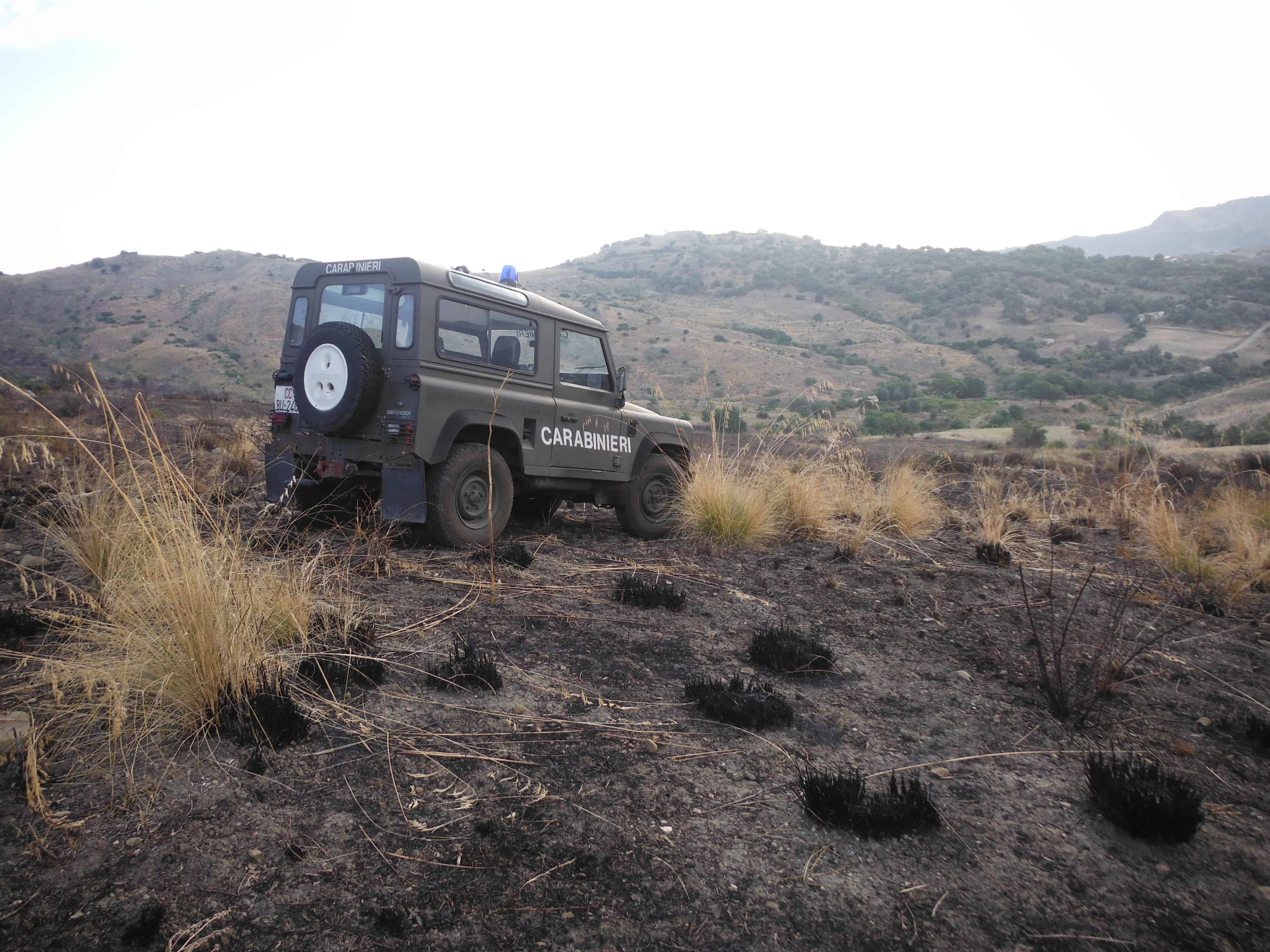 Fabbricato abusivo nel Parco dell’Aspromonte, denunciati committente e proprietario