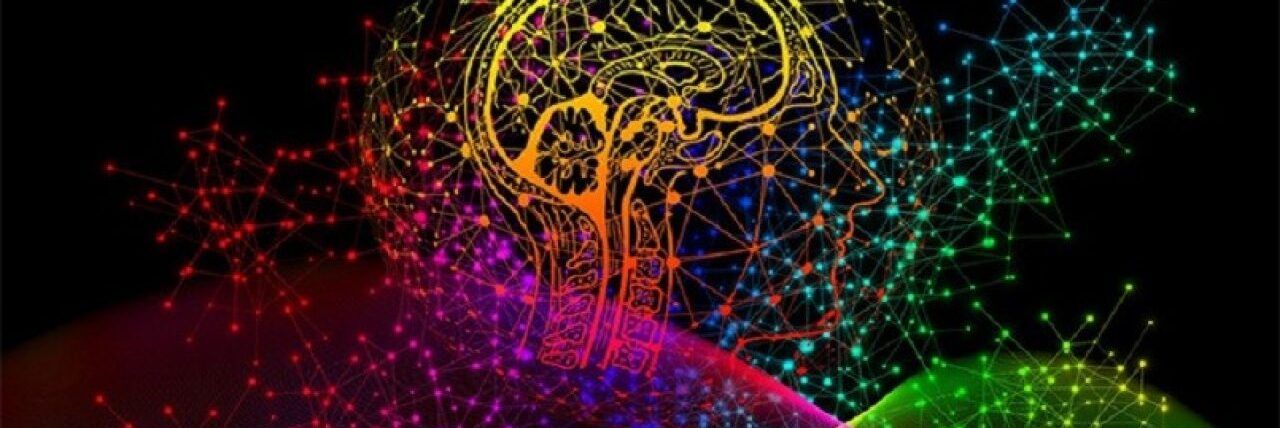 Memoria da elefante grazie a una proteina, ecco come funziona