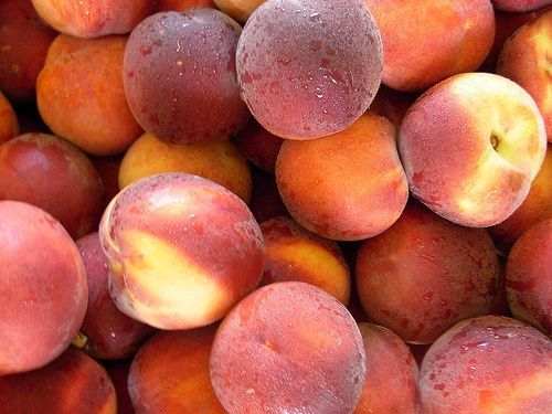 Trematerra: su pesche e nettarine la Regione è attiva