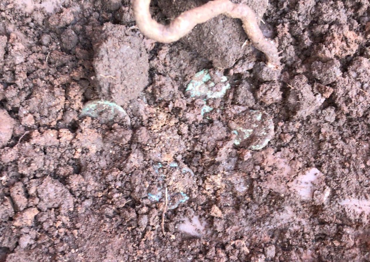 Monete bronzee negli scavi per il nuovo ospedale di Vibo – LE FOTO