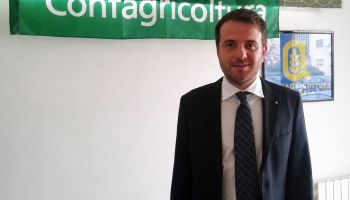 Adriano Tancredi eletto presidente di Agrifidi