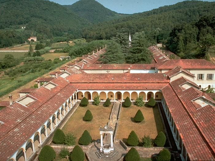 Albero sul dormitorio di San Bruno, danni al tetto
