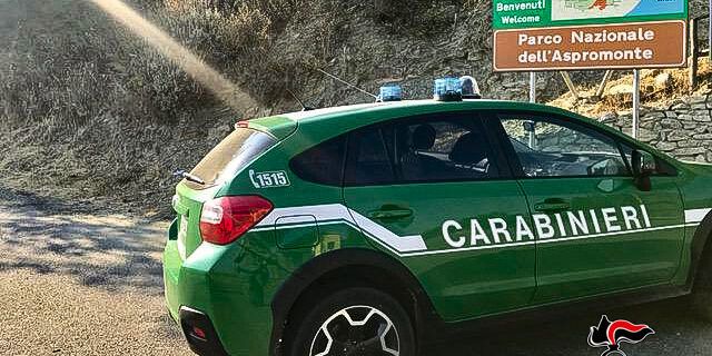 Caccia illegale nel Parco d’Aspromonte, denunciato 35enne