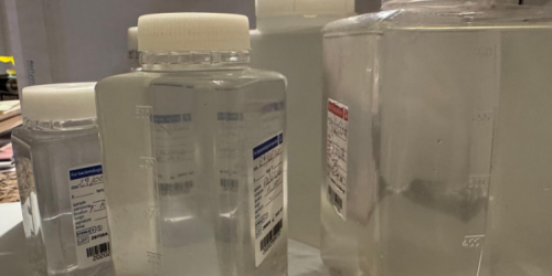 campioni arpacal furto