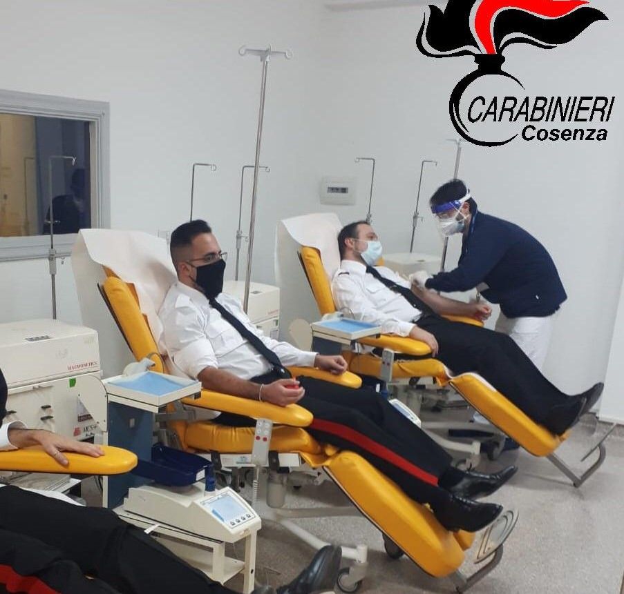 Cosenza, i carabinieri guariti dal covid donano il plasma per aiutare la ricerca