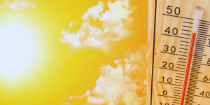 Il caldo si abbatte sulla Calabria, record nel Cosentino: toccati i 44,7 gradi a Torano Scalo