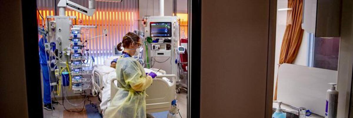 Contagiato dalla Candida auris, muore paziente a Milano