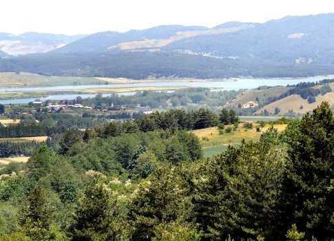 Si perdono in Sila per cercare i funghi, ricerche in corso