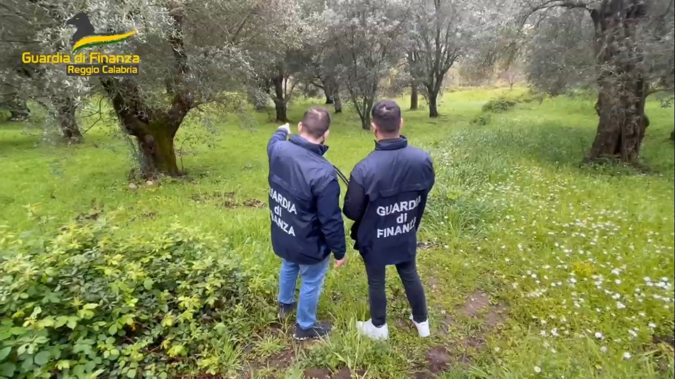 Reggio Calabria, fondi per giovani agricoltori: da restituire oltre 1 milione di euro – VIDEO