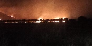 Vasto incendio colpisce il Pollino, l’allarme: «Castrovillari è circondata dalle fiamme»