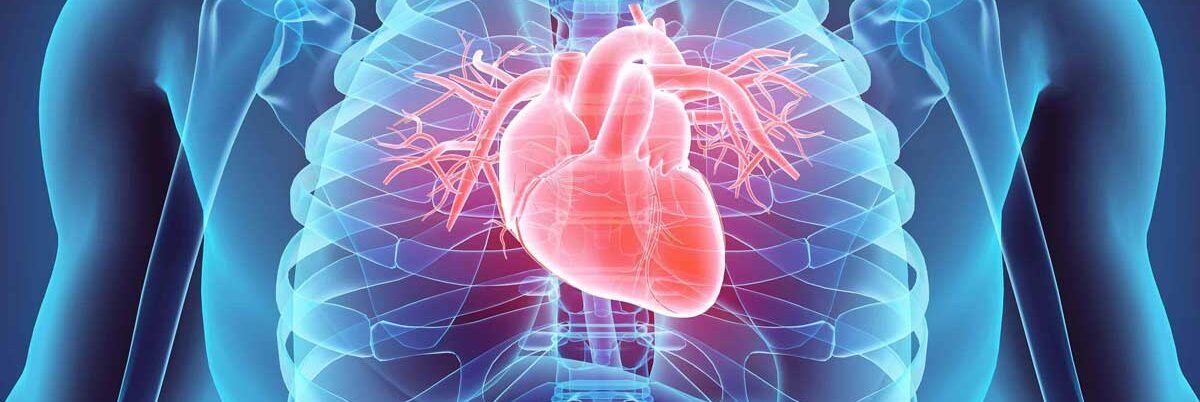 Scompenso cardiaco, arriva un algoritmo per scegliere la terapia