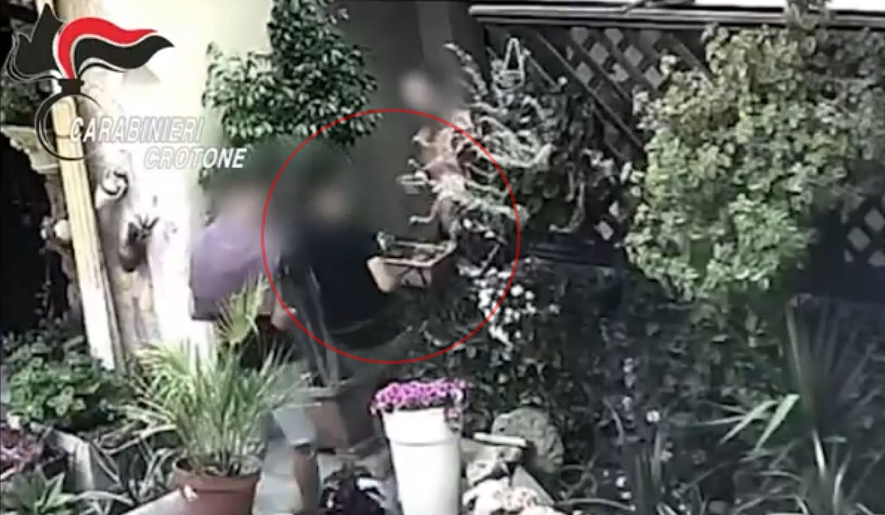 Spaccio di cocaina, hashish e marijuana a “gestione familiare”: 6 arresti a Crotone – VIDEO