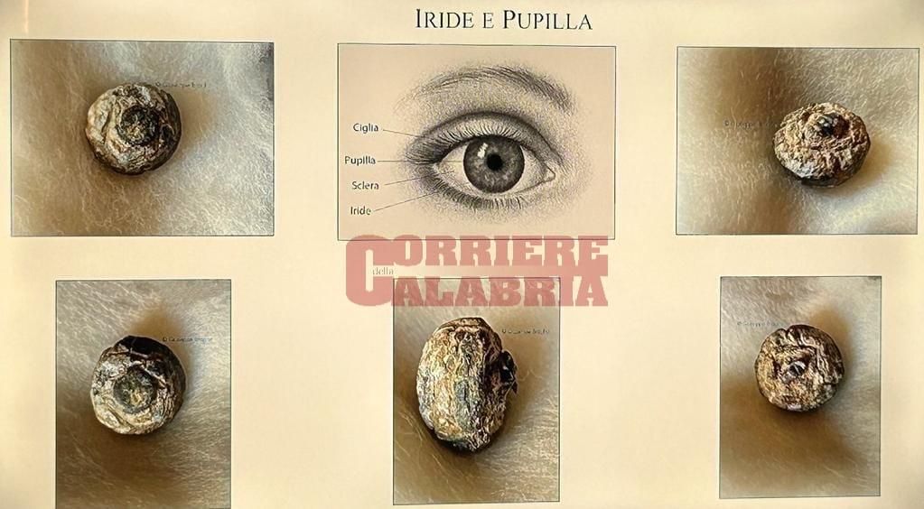 Una nuova scoperta può riaprire il dibattito sui Bronzi di Riace – VIDEO