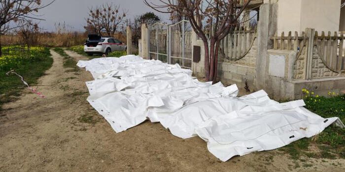 Il dolore e il monito di Mattarella: no all’indifferenza, l’Europa ora si impegni concretamente