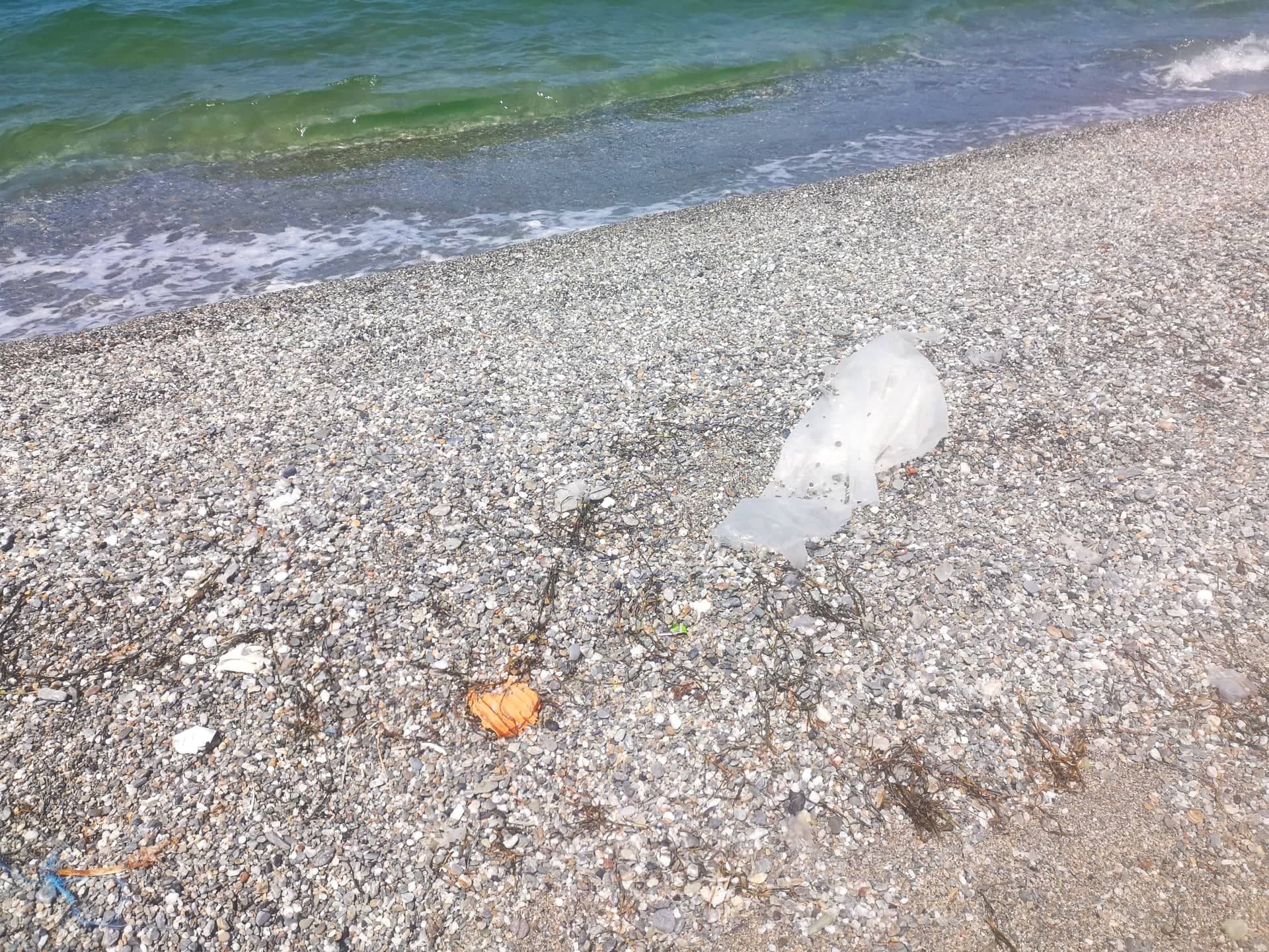 La "lotteria" del mare sporco e il lungomare deserto: l'ennesima estate complicata per Lamezia – VIDEO