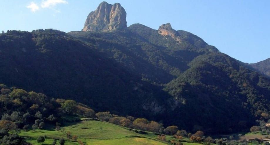 Gente in Aspromonte, la nuova edizione dall’11 al 15 agosto