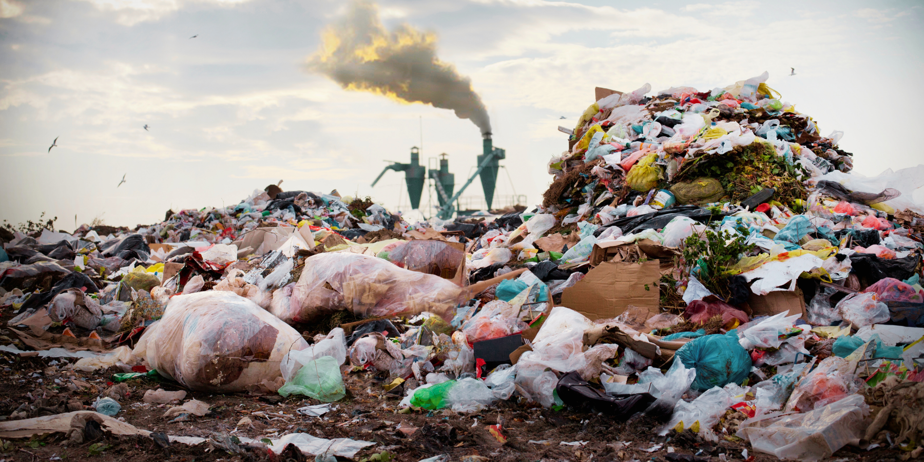 La ‘ndrangheta inquina: Calabria prima per disastri ambientali