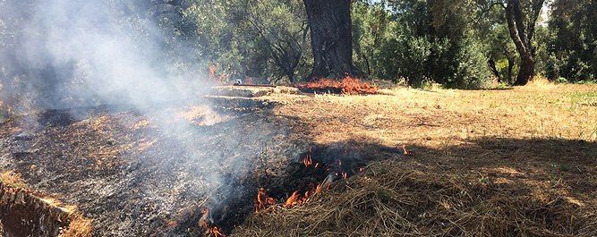 Furti e danneggiamenti, nel mirino la cooperativa Valle del Marro