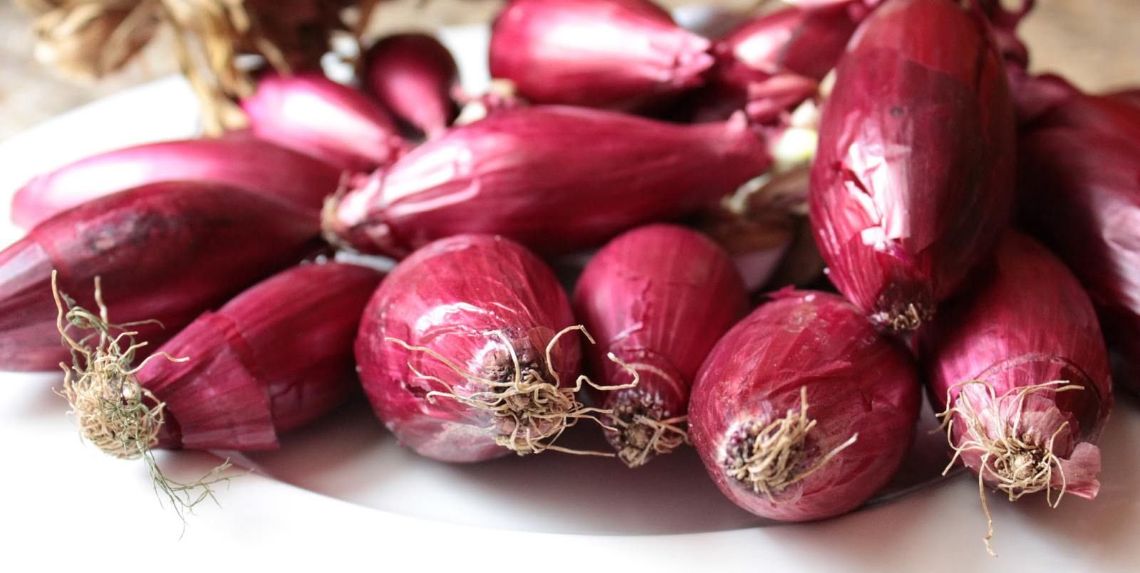 Calabria presente a Sofia con la sua cucina tipica