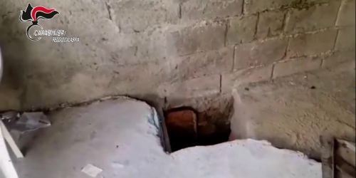 operazione perseverant piana gioia tauro taurianova