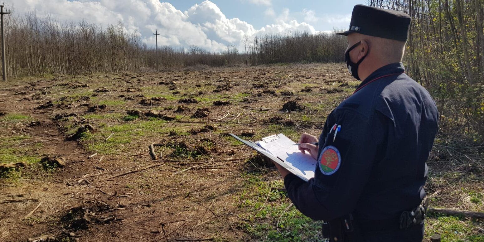 Melicuccà, sorpresi a tagliare il castagneto del vicino: 5 arresti
