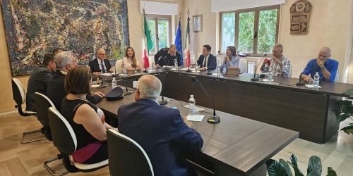 comitato ordine pubblico cz a carlopoli