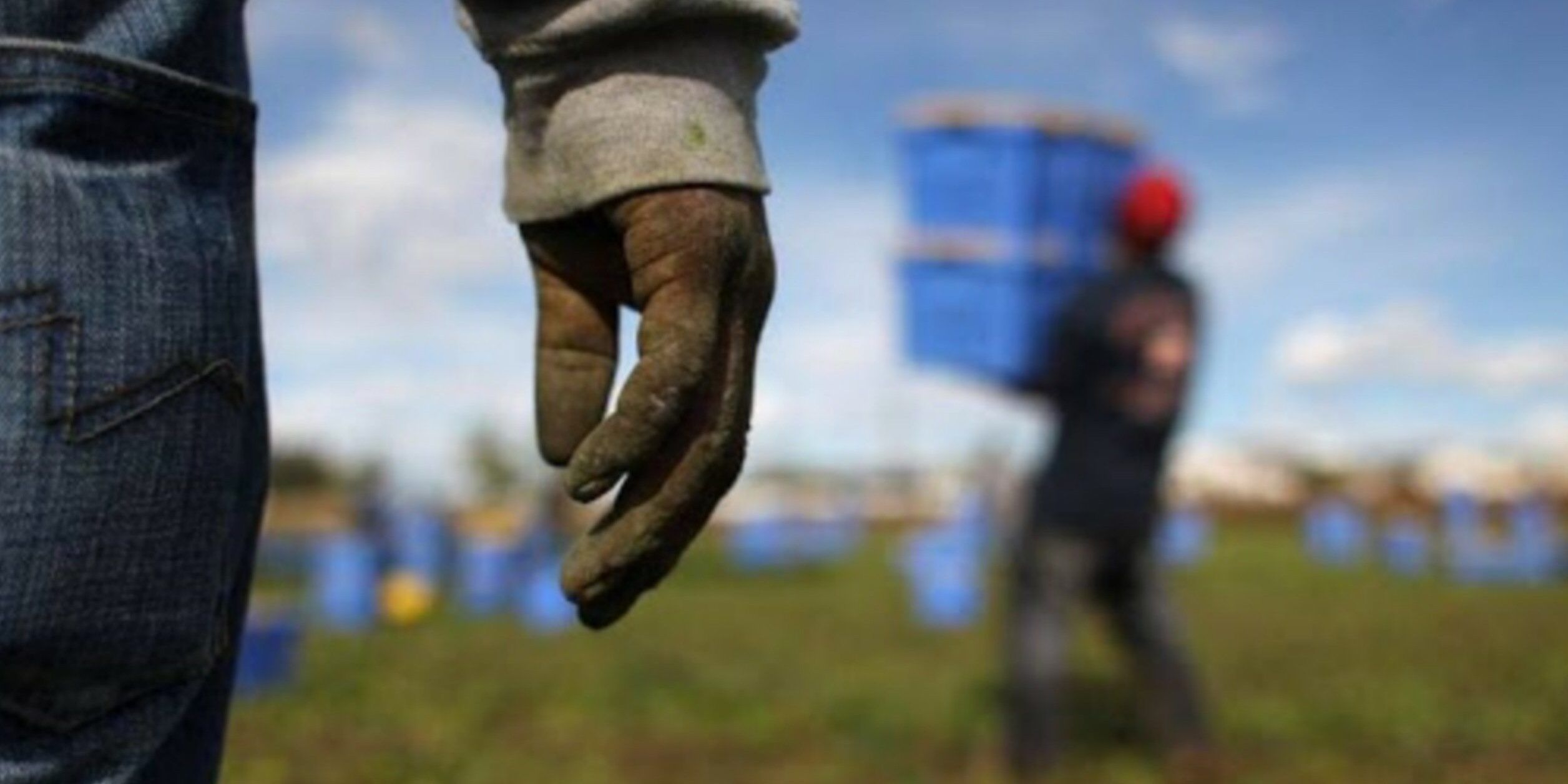 Operazione contro il capolarato nel Crotonese: 17 le aziende irregolari