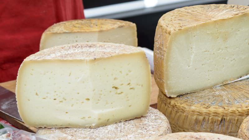 Dall'Ue arriva l'ok: il Pecorino del Monte Poro è un prodotto Dop