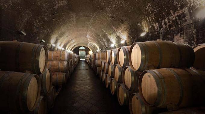 "Pmi Day", l'azienda "Magna Graecia" si apre agli studenti