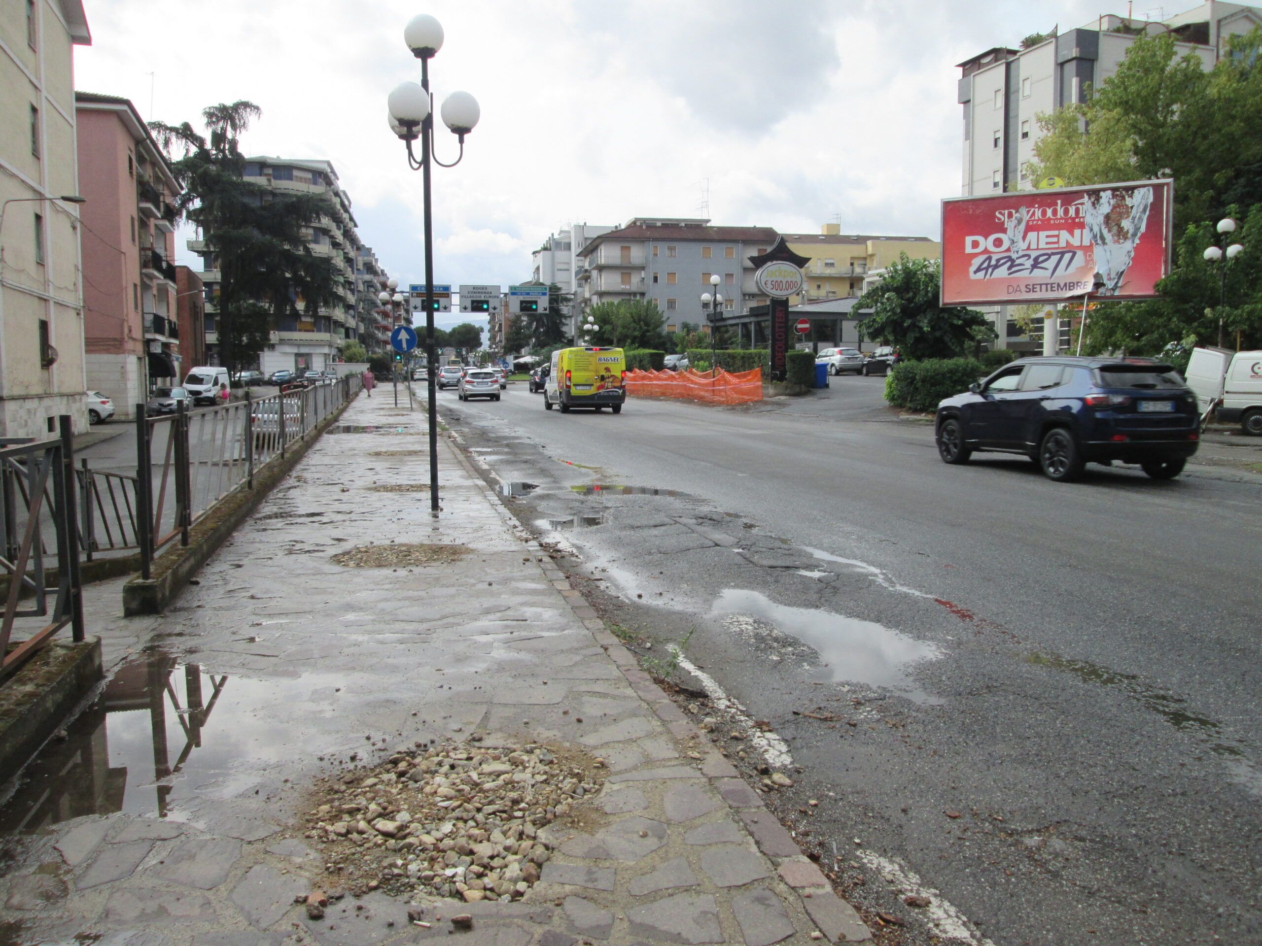 Legambiente Calabria: «Insensate le operazioni di taglio degli alberi a Rende»