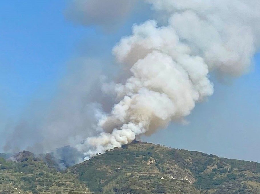 Incendi nel Reggino, una vittima a Cardeto. Dichiarato lo stato di emergenza – VIDEO