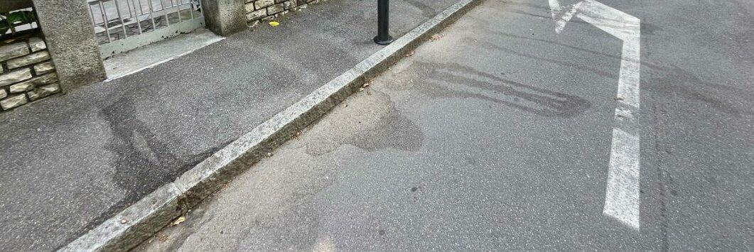 Rissa legata al tifo, ucciso un giovane a Bergamo