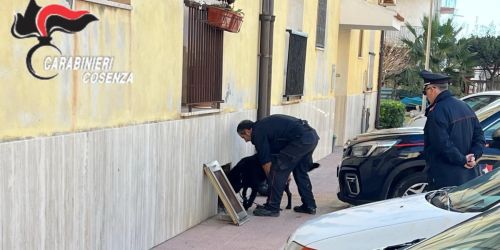 Controlli nelle case popolari nel Cosentino, irregolare anche quella del boss Francesco Muto