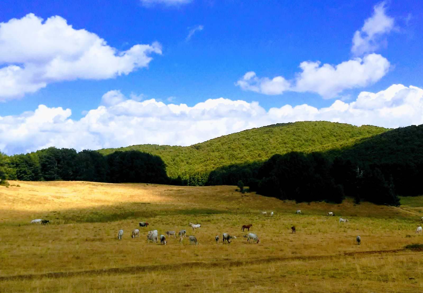 La “tranquillità” come risorsa, al via il “Focus Group” al Parco della Sila