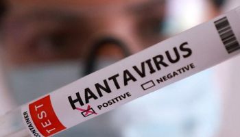 Hantavirus, contagi e morti. Ma l’Oms esclude una nuova pandemia