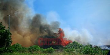 Incendio in un vivaio a Lamezia Terme, paura sulla SS18 – VIDEO e FOTO